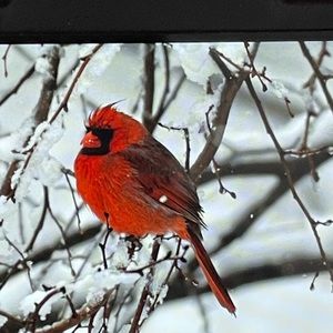 Meet your Posher, Jill